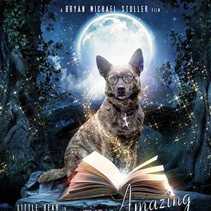 Bilder Magie auf 4 Pfoten - Der unglaubliche Zauberer und sein tierischer Freund