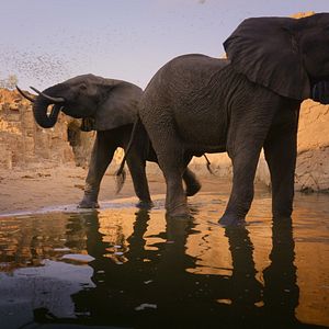 Bilder Unsere wunderbaren Nationalparks