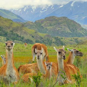 Bilder Unsere wunderbaren Nationalparks