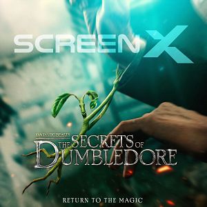 Bilder Phantastische Tierwesen 3: Dumbledores Geheimnisse