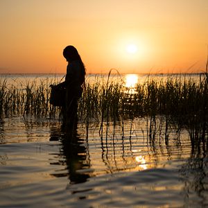 Bilder Der Gesang der Flusskrebse