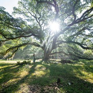 Bilder Der Gesang der Flusskrebse