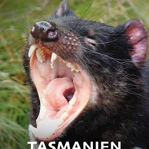 Bilder Tasmanien - Eine Insel steht Kopf