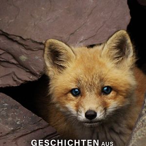 Bilder Geschichten aus Fuchshausen
