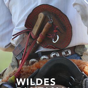 Bilder Wildes Pantanal - Jaguarland