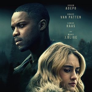 Bilder The Violent Heart