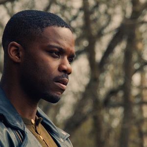 Bilder The Violent Heart