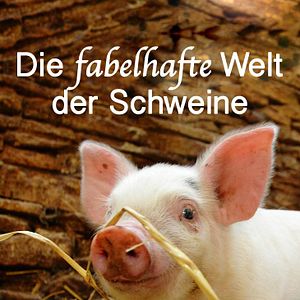 Bilder Die fabelhafte Welt der Schweine