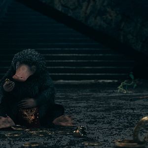 Bilder Phantastische Tierwesen 3: Dumbledores Geheimnisse