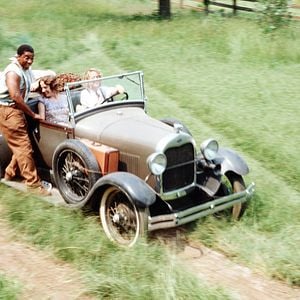 Bilder Grüne Tomaten