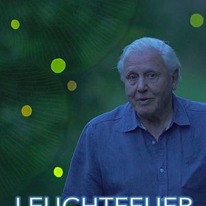 Bilder Leuchtfeuer des Lebens