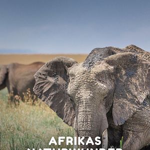 Bilder Afrikas Naturwunder - Ein Tag wie kein anderer
