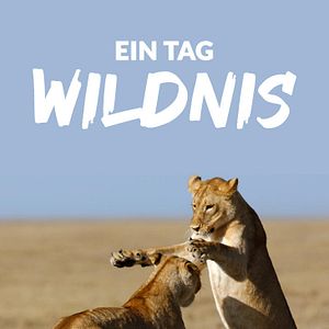 Bilder Ein Tag Wildnis