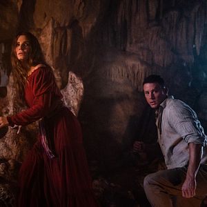 Bilder Sandra Bullock