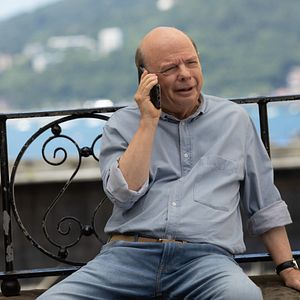 Bilder Wallace Shawn