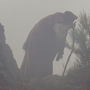 Bilder Elsa Wolliaston