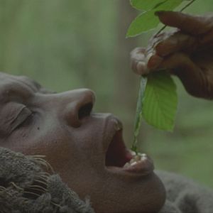 Bilder Elsa Wolliaston