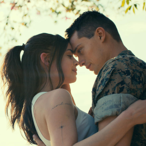 Bilder Purple Hearts