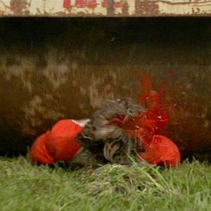 Bilder Rhea M. - Es begann ohne Warnung