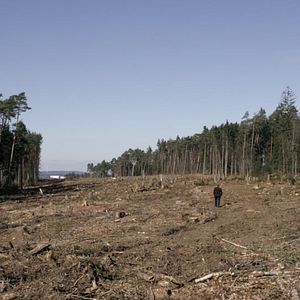 Bilder Die Autobahn - Kampf um die A 49