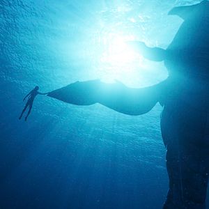 Bilder Avatar 2: The Way Of Water