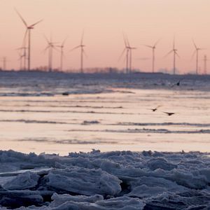 Bilder Nordlicht - Der Nordsee Film