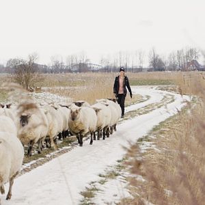 Bilder Nordlicht - Der Nordsee Film