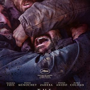 Bilder Wie wilde Tiere