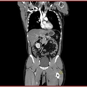 Bilder Wer wir gewesen sein werden