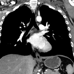 Bilder Wer wir gewesen sein werden