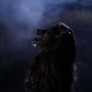 Bilder Hunter's Moon - Die Nacht des Wolfs