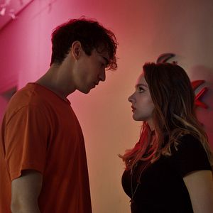 Bilder Der Vogel und die Löwin