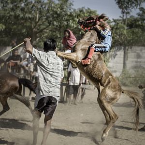 Bilder Riders Of Destiny