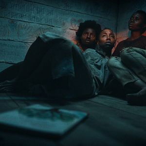 Bilder Trees Of Peace