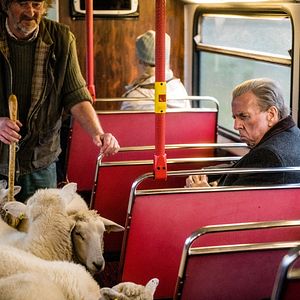 Bilder Timothy Spall