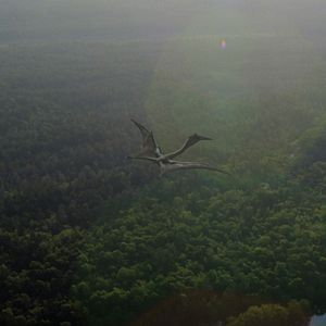 Bilder Ein Planet vor unserer Zeit