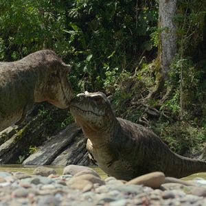 Bilder Ein Planet vor unserer Zeit