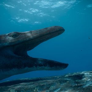 Bilder Ein Planet vor unserer Zeit