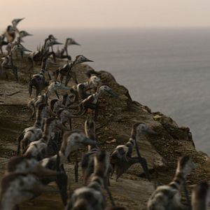 Bilder Ein Planet vor unserer Zeit