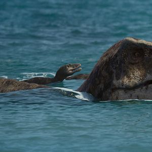 Bilder Ein Planet vor unserer Zeit