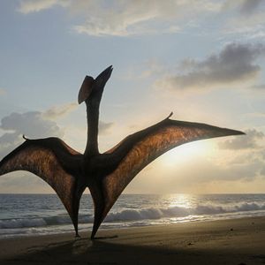 Bilder Ein Planet vor unserer Zeit