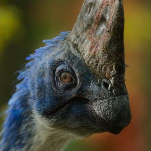 Bilder Ein Planet vor unserer Zeit