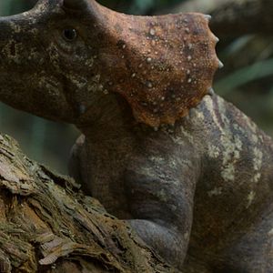 Bilder Ein Planet vor unserer Zeit