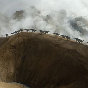 Bilder Ein Planet vor unserer Zeit