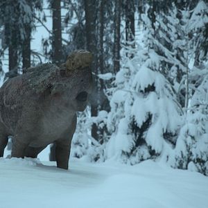 Bilder Ein Planet vor unserer Zeit