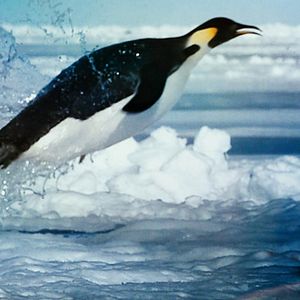 Bilder Everything Will Change