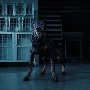 Bilder Resident Evil