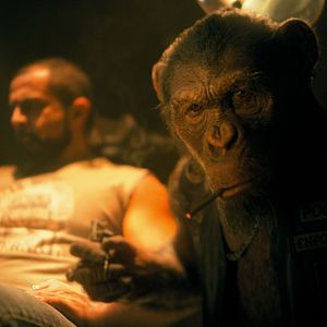 Bilder The Umbrella Academy