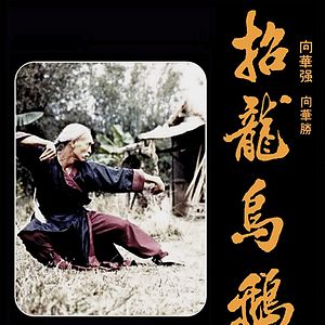 Bilder Der Todesfluch des gelben Rächers