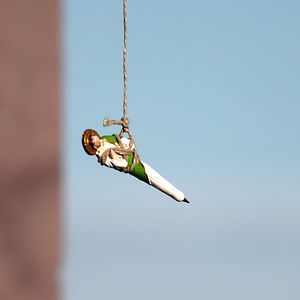 Bilder Und ruhig fliesst der Rhein